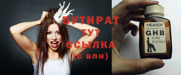 сатива Беломорск