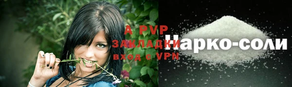 apvp Балахна