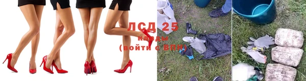 прущие грибы Белоозёрский