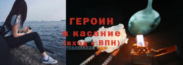 сатива Беломорск