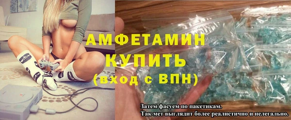 сатива Беломорск