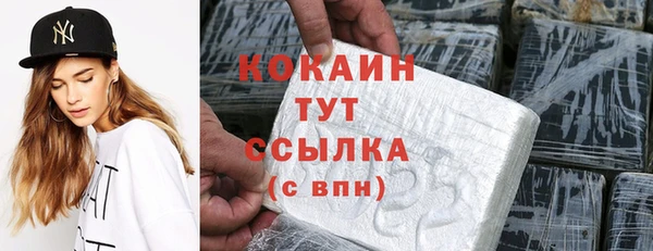 сатива Беломорск
