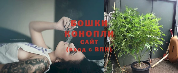прущие грибы Белоозёрский