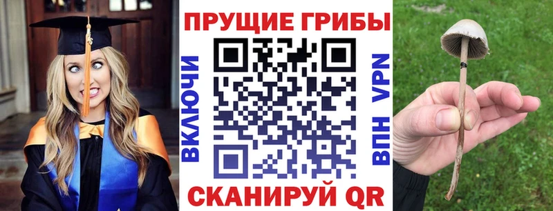 Псилоцибиновые грибы мухоморы  Высоковск 